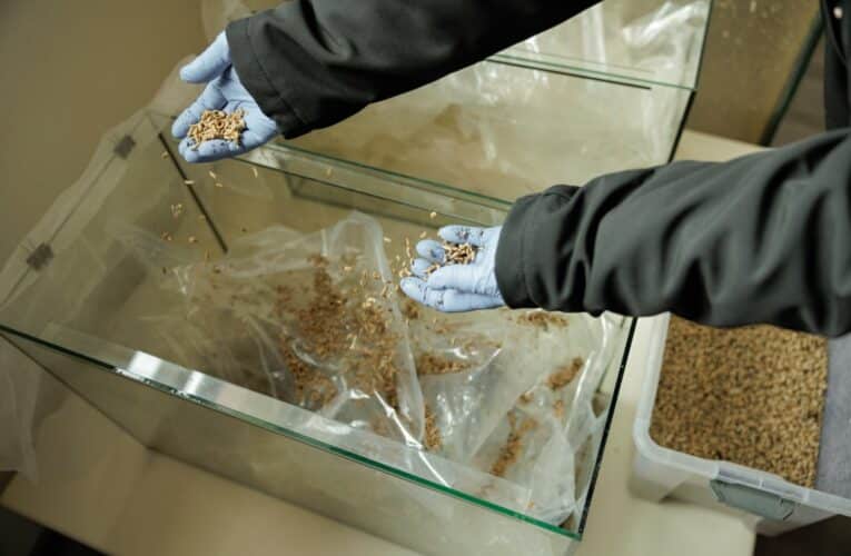 Kaufland: Plastové fólie z predajní čistia larvy múch